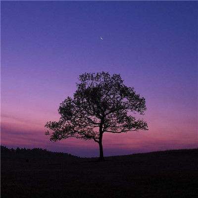 乐鱼app(中国体育)官方网站手机app下载