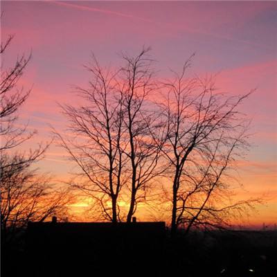 乐鱼app(中国体育)官方网站手机app下载